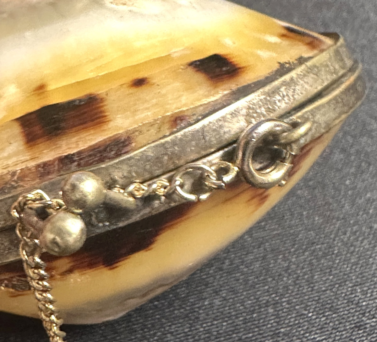 Antique Shell Box Necklace With Unmarked Silver Clasp And 20th Century Gold Chain-photo-5