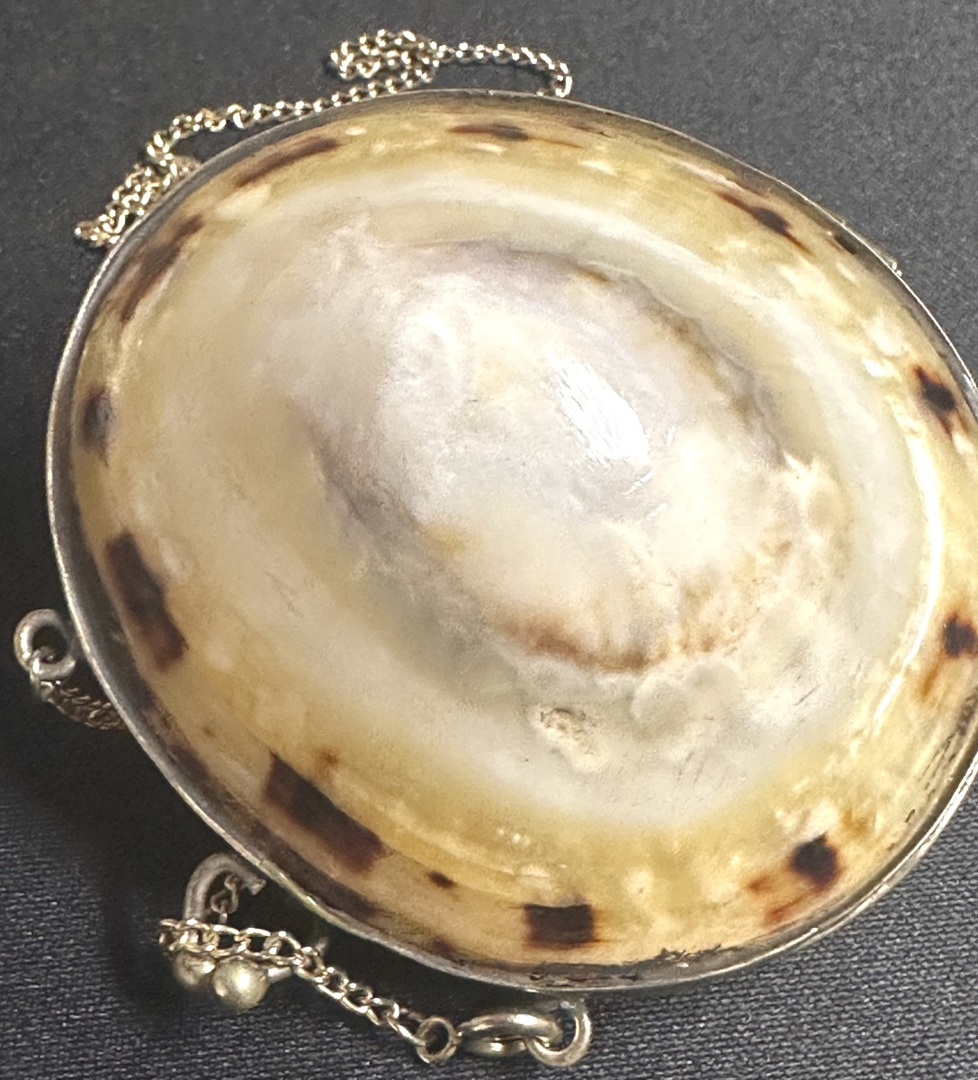 Antique Shell Box Necklace With Unmarked Silver Clasp And 20th Century Gold Chain-photo-6