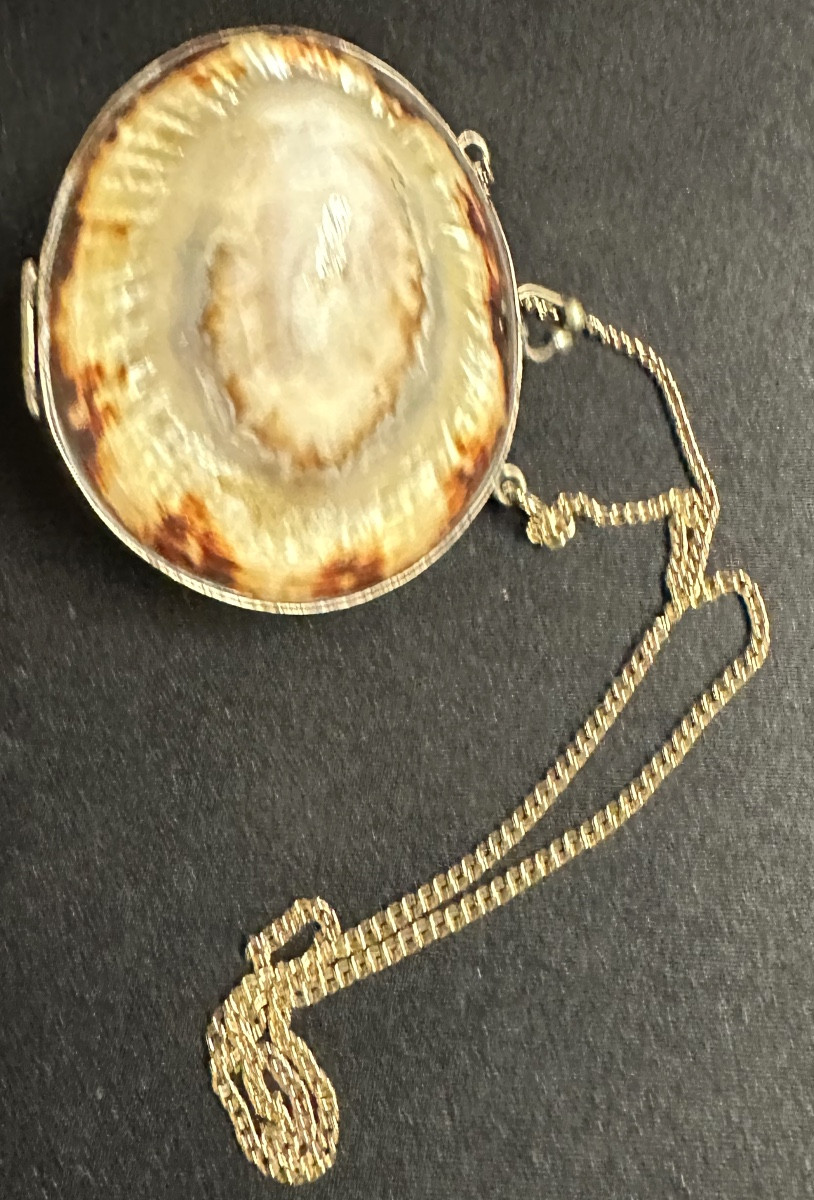 Antique Shell Box Necklace With Unmarked Silver Clasp And 20th Century Gold Chain-photo-7