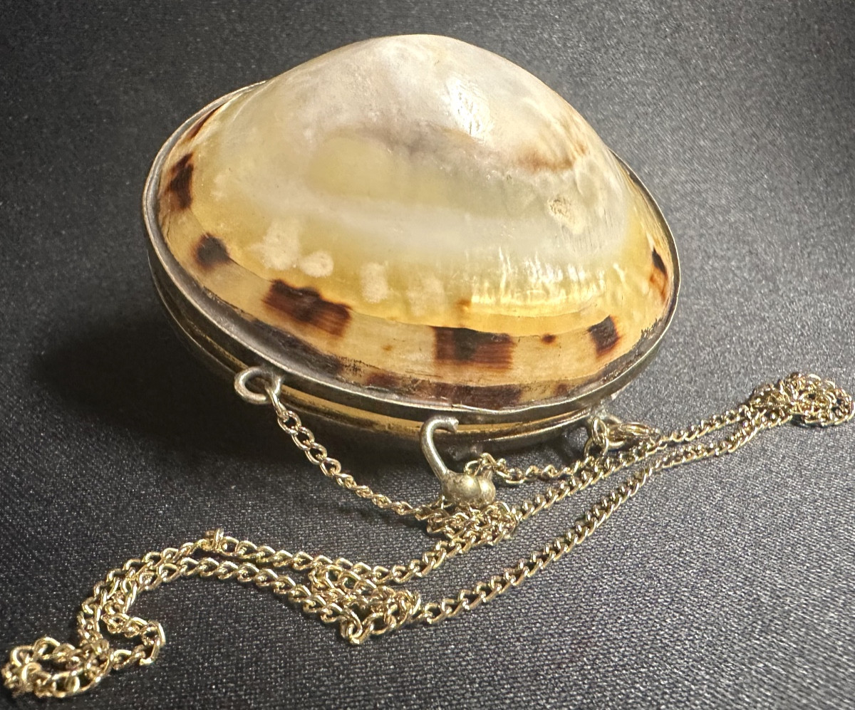 Antique Shell Box Necklace With Unmarked Silver Clasp And 20th Century Gold Chain-photo-8