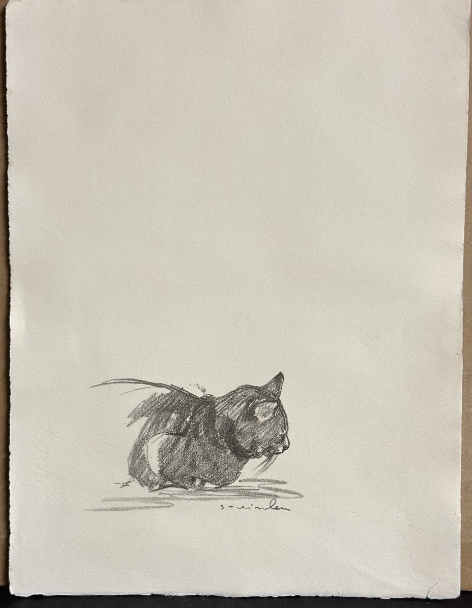 Alexandre STEINLEN 1859-1923 CHAT couché Lithographie signée-photo-2