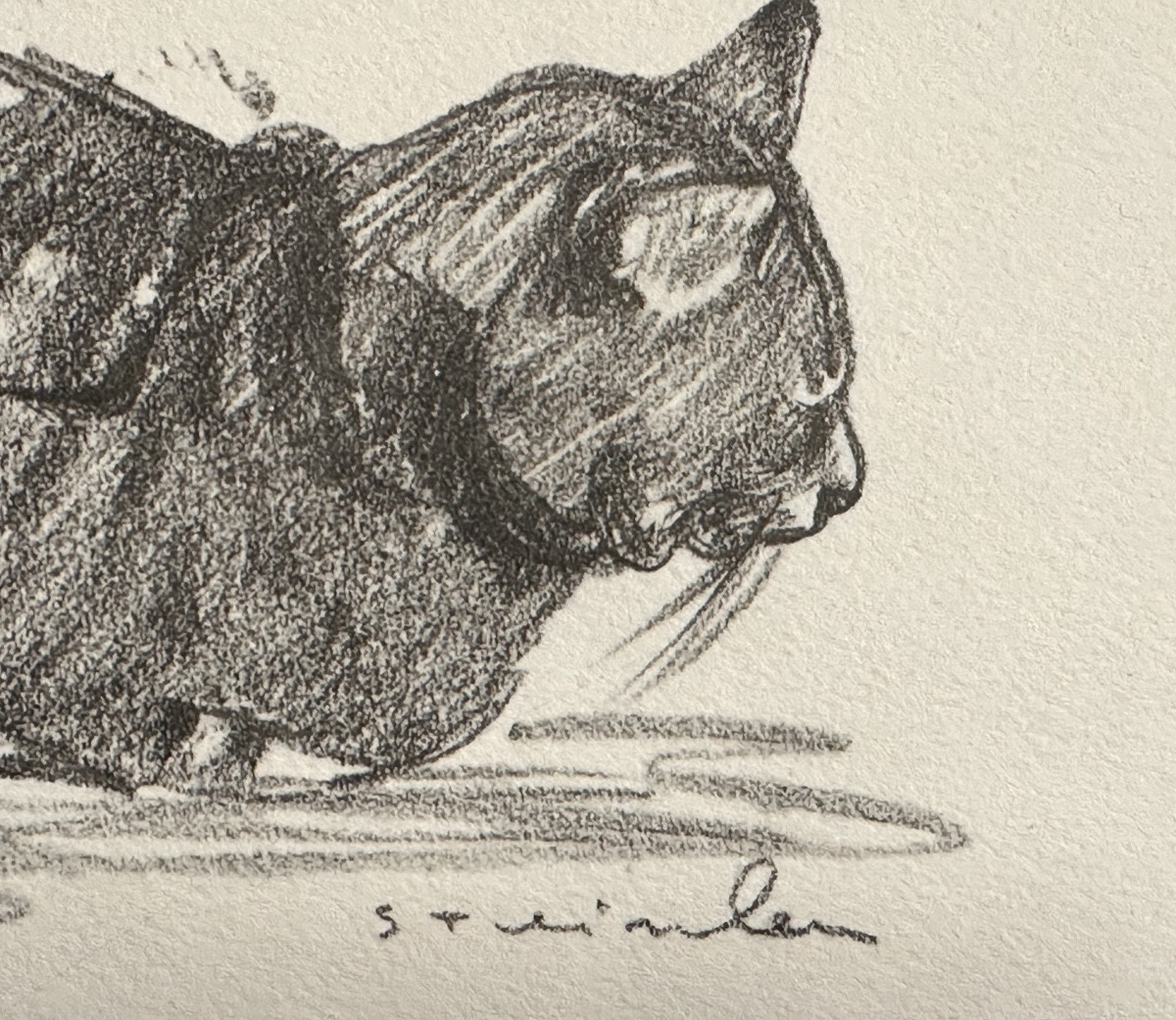 Alexandre STEINLEN 1859-1923 CHAT couché Lithographie signée-photo-3