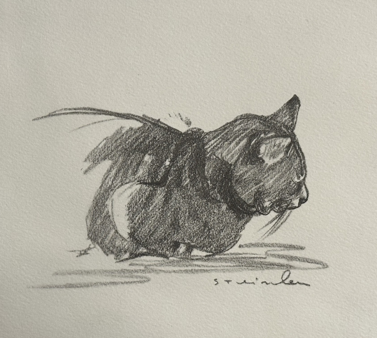 Alexandre STEINLEN 1859-1923 CHAT couché Lithographie signée