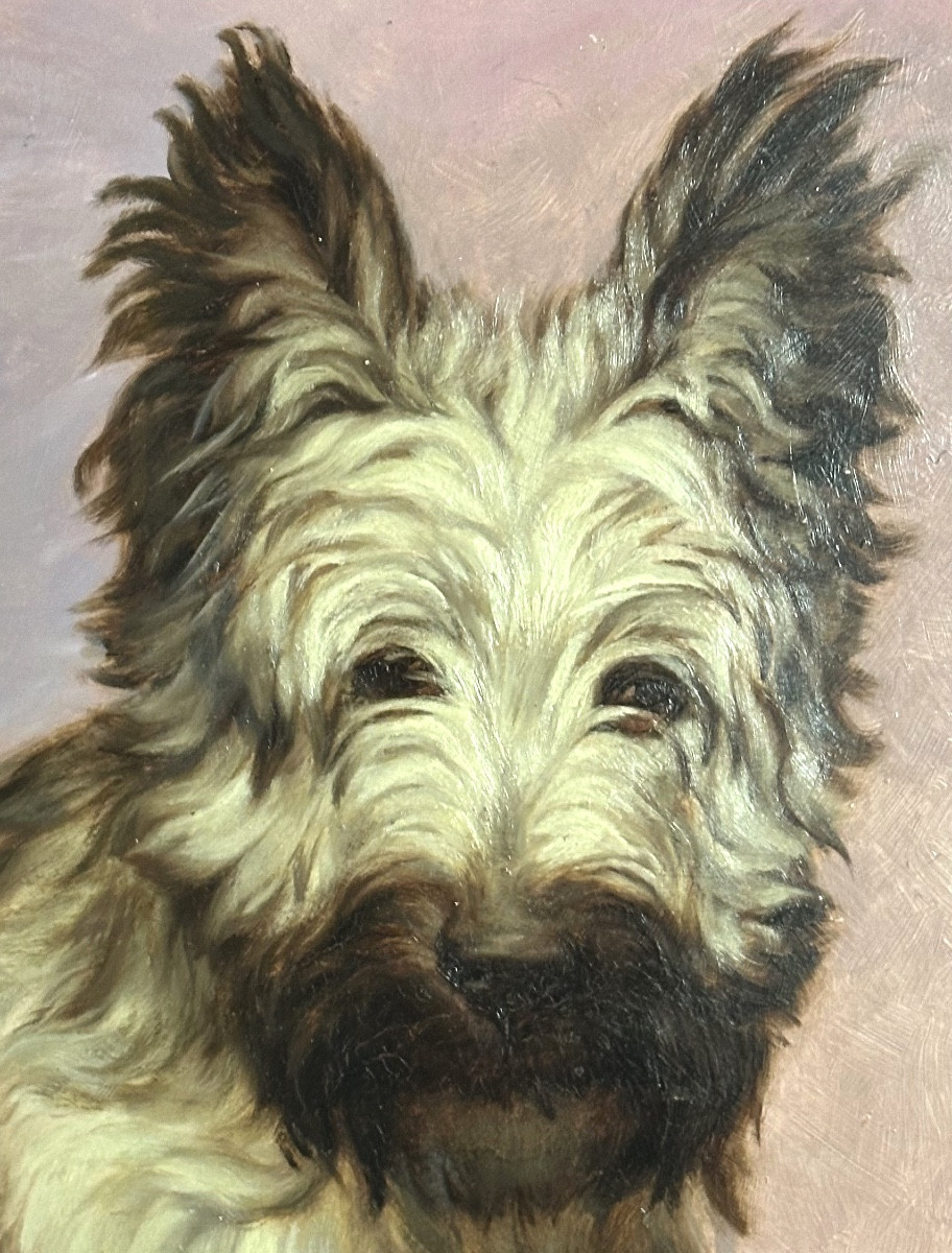 Fernand Clausse 1899-1967 Oil Terrier Skye Or Cairn /4-photo-4