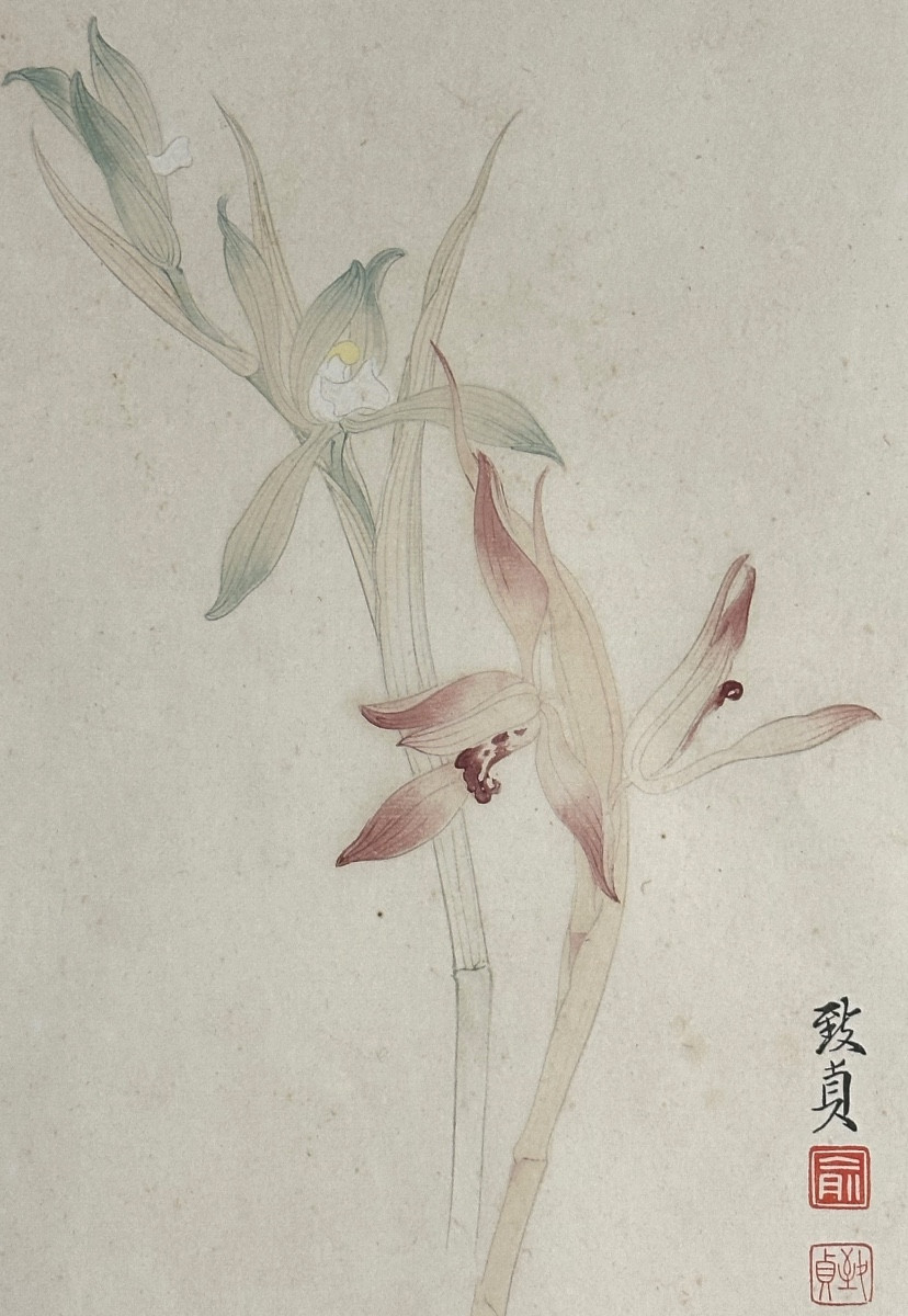Yu Zhizhen 1915-1995 China Orchid Signed Color Print -photo-4