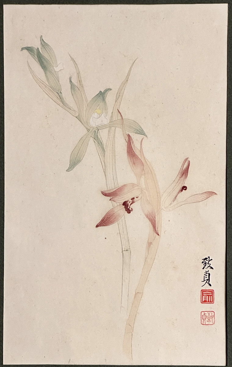 Yu Zhizhen 1915-1995 China Orchid Signed Color Print 