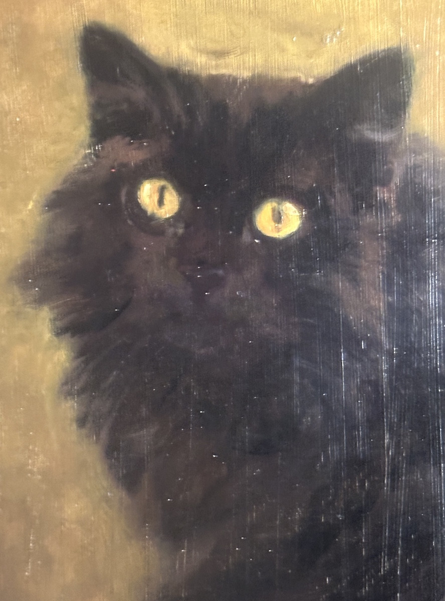 Fernand CLAUSSE 1899-1967 Huile chat noir signé /5  -photo-2