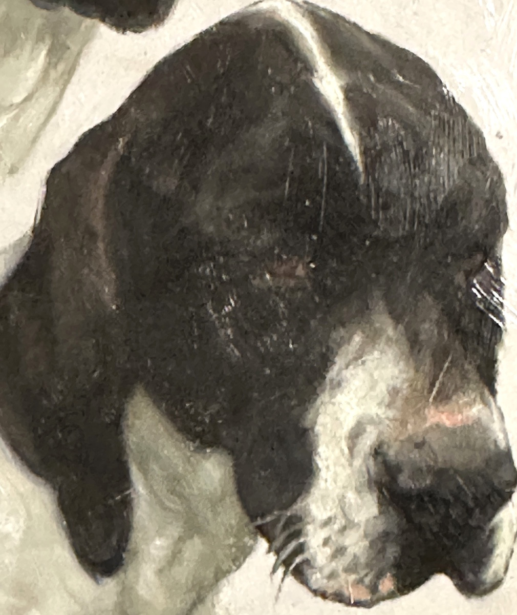Fernand CLAUSSE 1899-1967 Huile elegant Chien Pointer Anglais /6-photo-4