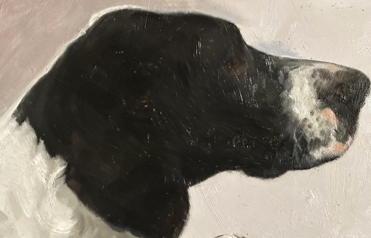 Fernand CLAUSSE 1899-1967 Huile elegant Chien Pointer Anglais /6-photo-1