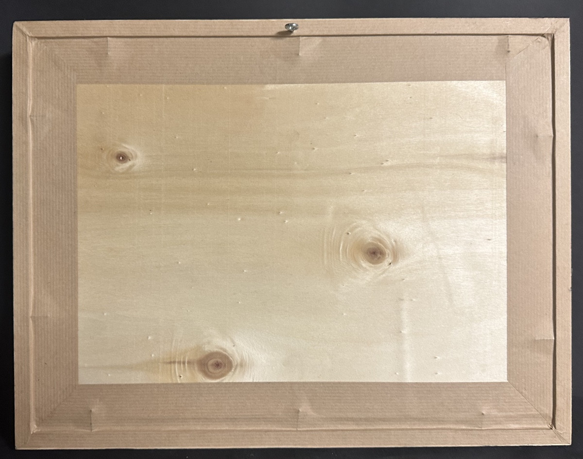 Ch. Sadoyan 1943 Study Of Framed Bones Cabinet Of Curiosities Medicine-photo-1