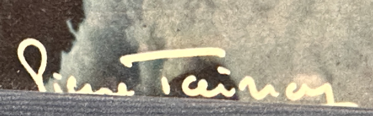 Pierre TAIRRAZ Photographie Traversée des courtes Le Triolet Aiguille Photo Chamonix Alpes-photo-3