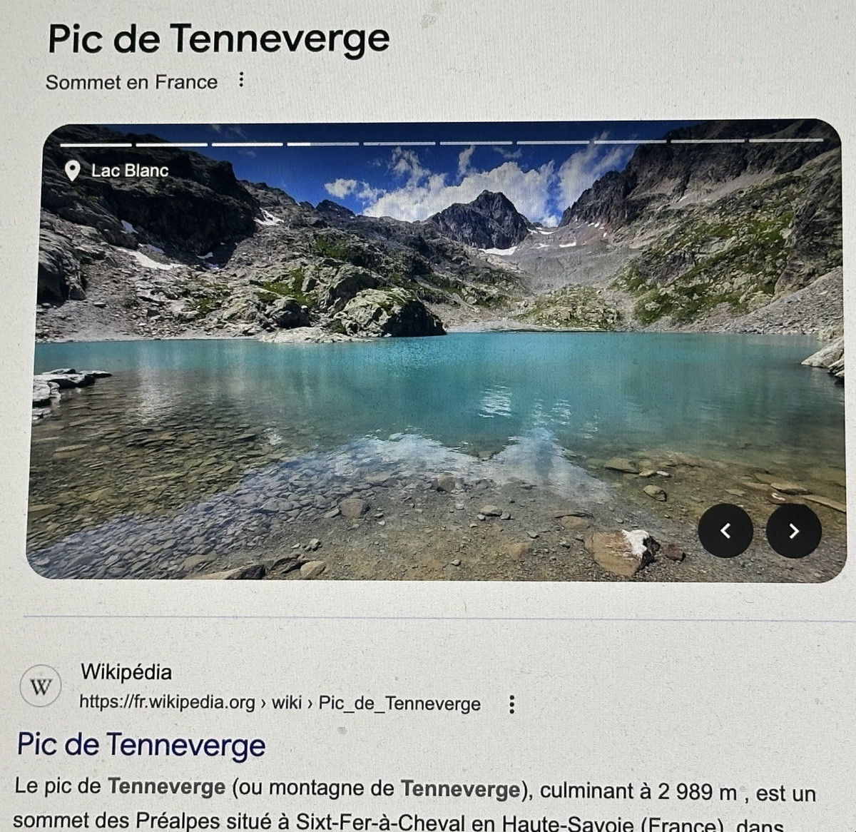 Hippolyte Mouthier 1880-1975 Oil Painting, Le Tenneverge, Griffe, Haute-savoie, Alps, Mountain -photo-3