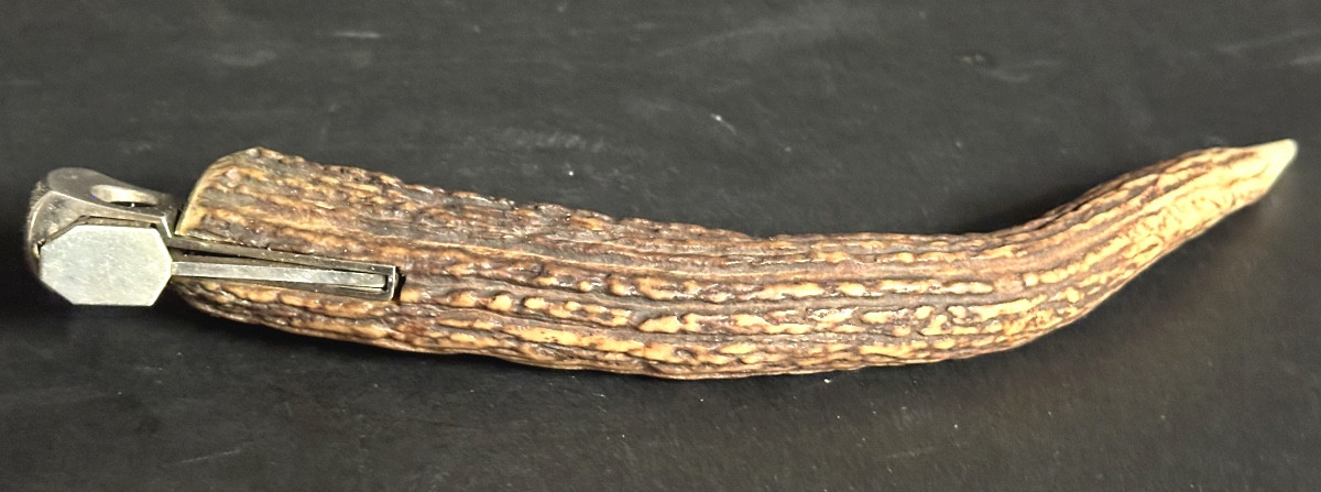 COUPE CIGARE signé en andouiller et acier Style Forêt-Noire corne de cerf 27 cm-photo-1