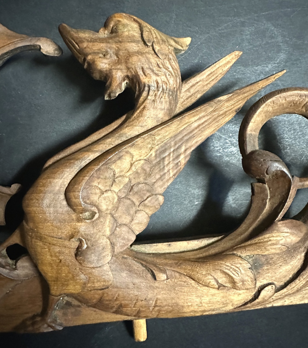 Aubenas Ardèche Fronton XIXe sculpté blason et griffons ailés 78cm 07 -photo-4