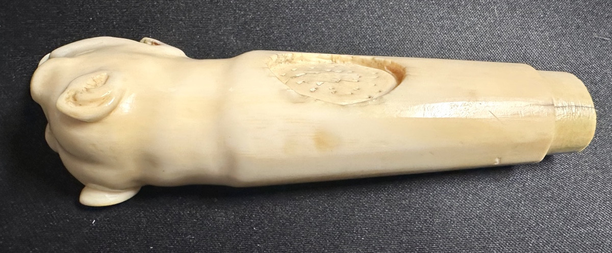 19th Century Dog-shaped Collectible Walking Stick Handle With Glass Eyes-photo-3