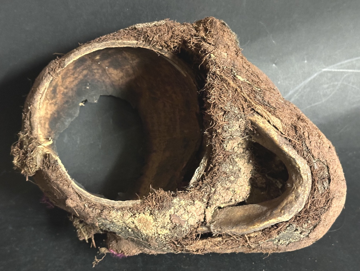 RARE crâne surmodelé Vaneatu Art Primitif Océanie relique en l’état Musée-photo-3