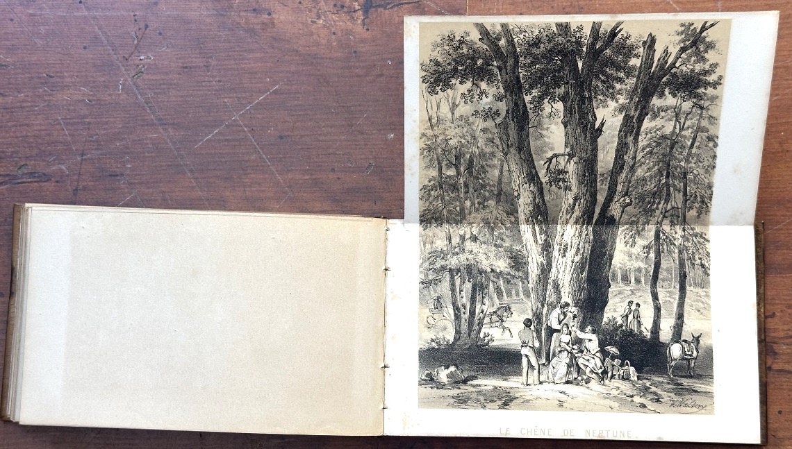 Souvenirs de Fontainebleau RARE album genévrier Claude François Denecourt 1788-1875 lithos bois-photo-3