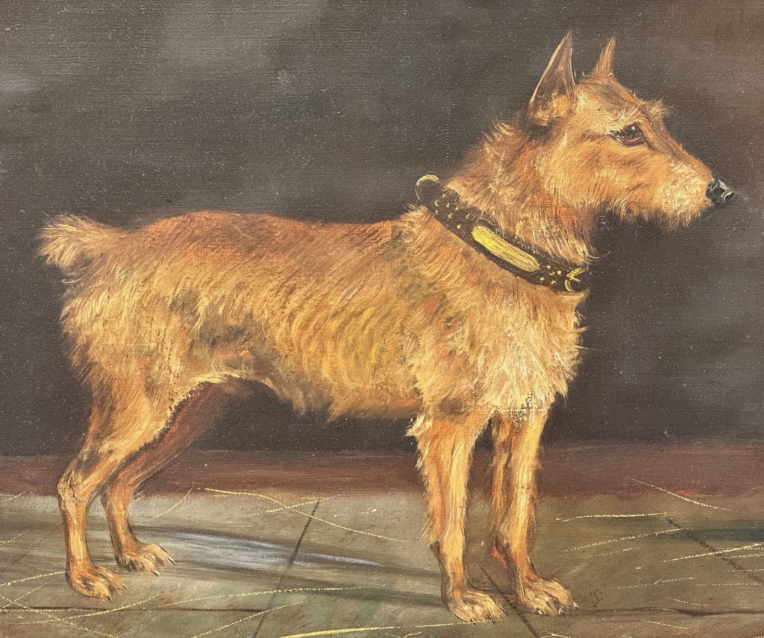 W. WINDRED XIXe Grande huile portrait de chien signé et daté 1892 -photo-2