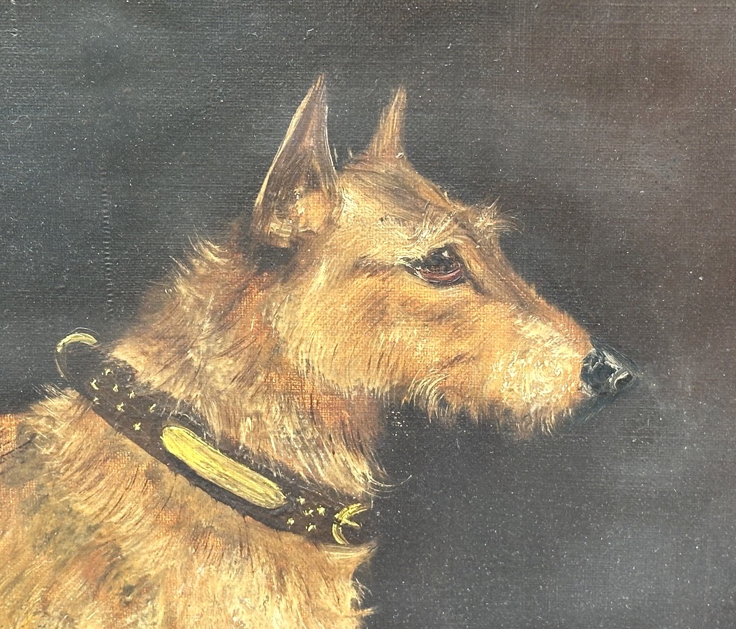 W. WINDRED XIXe Grande huile portrait de chien signé et daté 1892 -photo-4