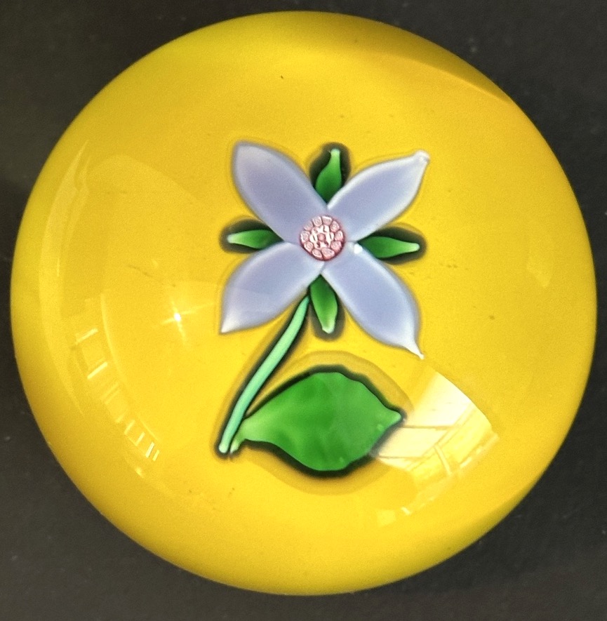 Saint Louis Signed Dated Sulfur-colored Crystal Paperweight In Its Millefiori Case /1-photo-5