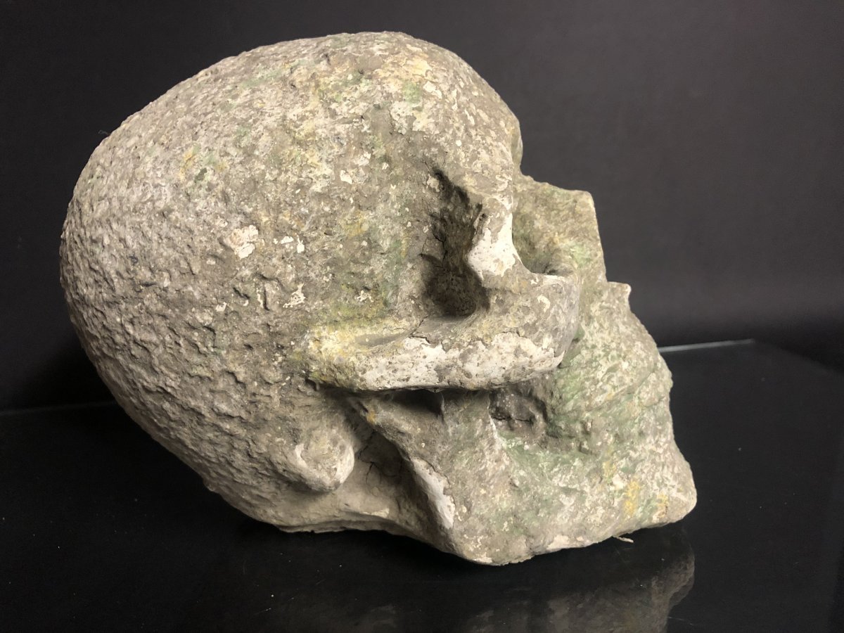 ANCIEN CRANE vanité en pierre reconstituée memento mori tête crâne curiosité-photo-3