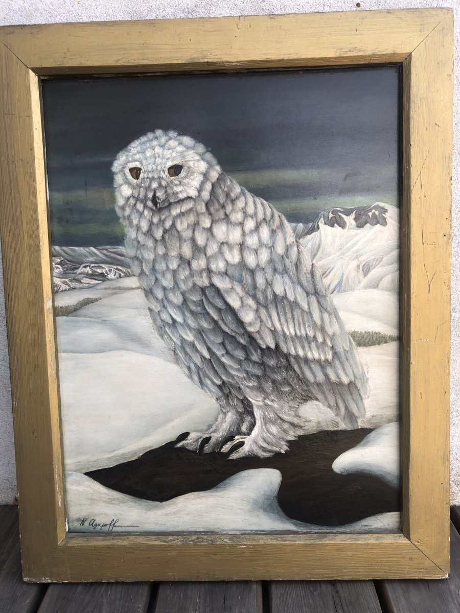 Nicolas AGAPOFF 1899-? Grande huile Chouette Harfang ou hibou des neiges Grand Nord ou Canada-photo-2