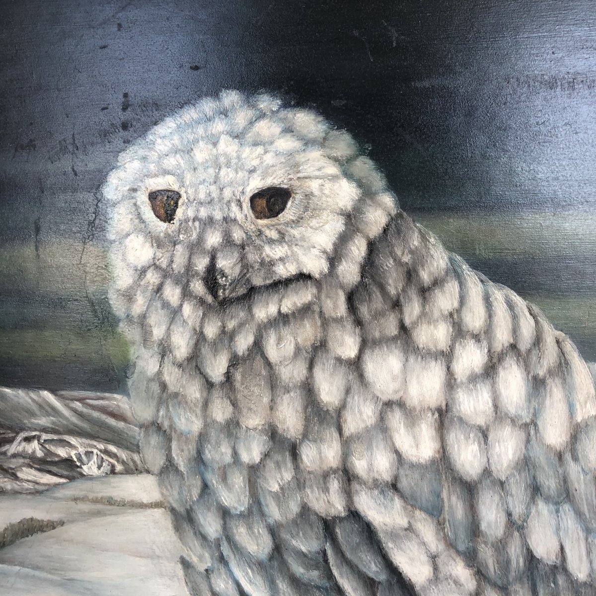 Nicolas Agapoff 1899-? Big Oil Owl Owl Or Snow Owl Far North Or Canada-photo-2