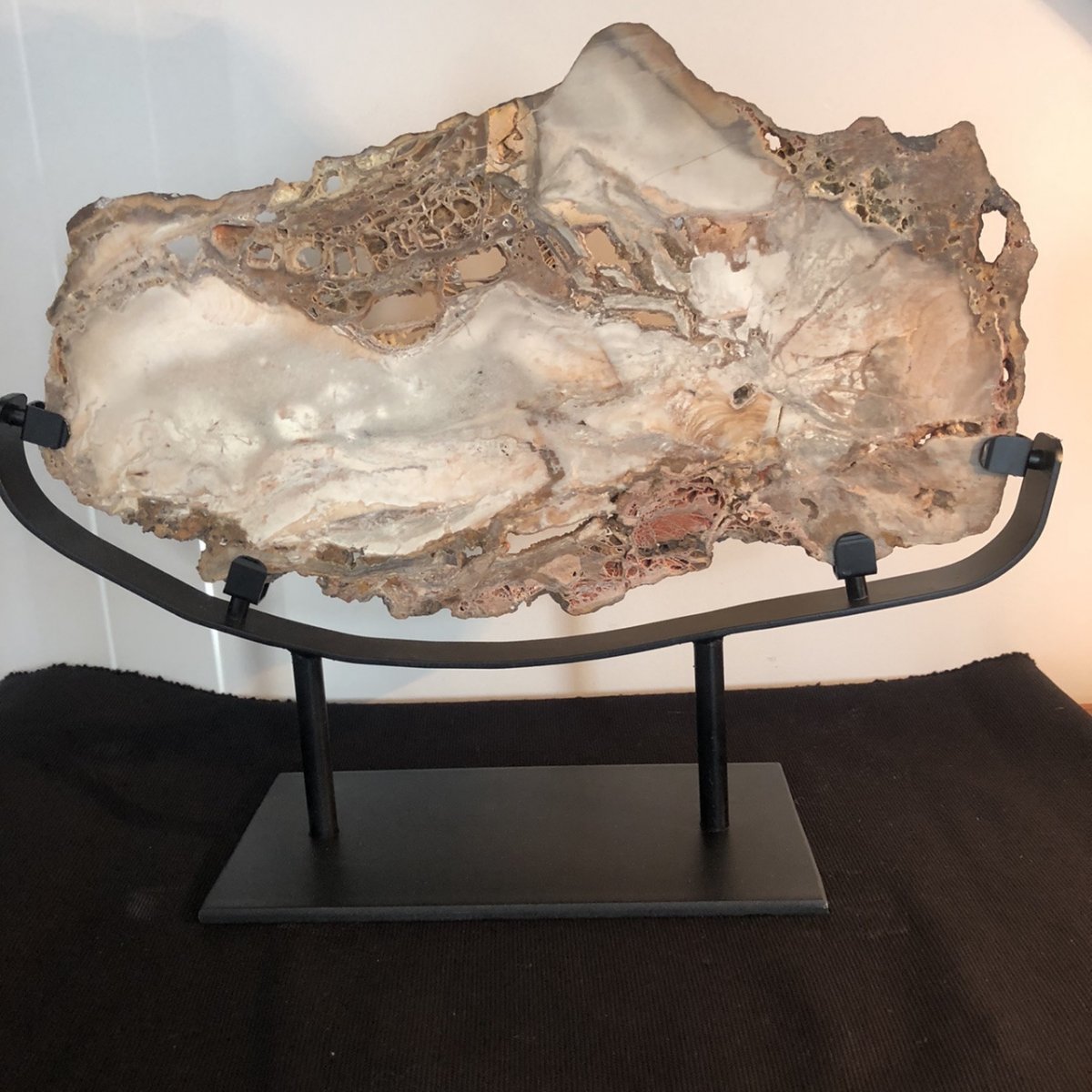 Spectaculaire tranche 38 cm en bois fossilisé pétrifié soclé-photo-1
