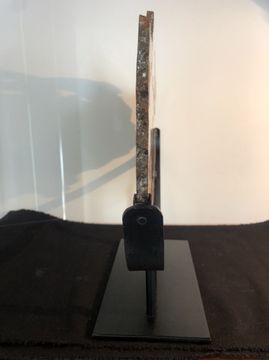 Spectaculaire tranche 38 cm en bois fossilisé pétrifié soclé-photo-3