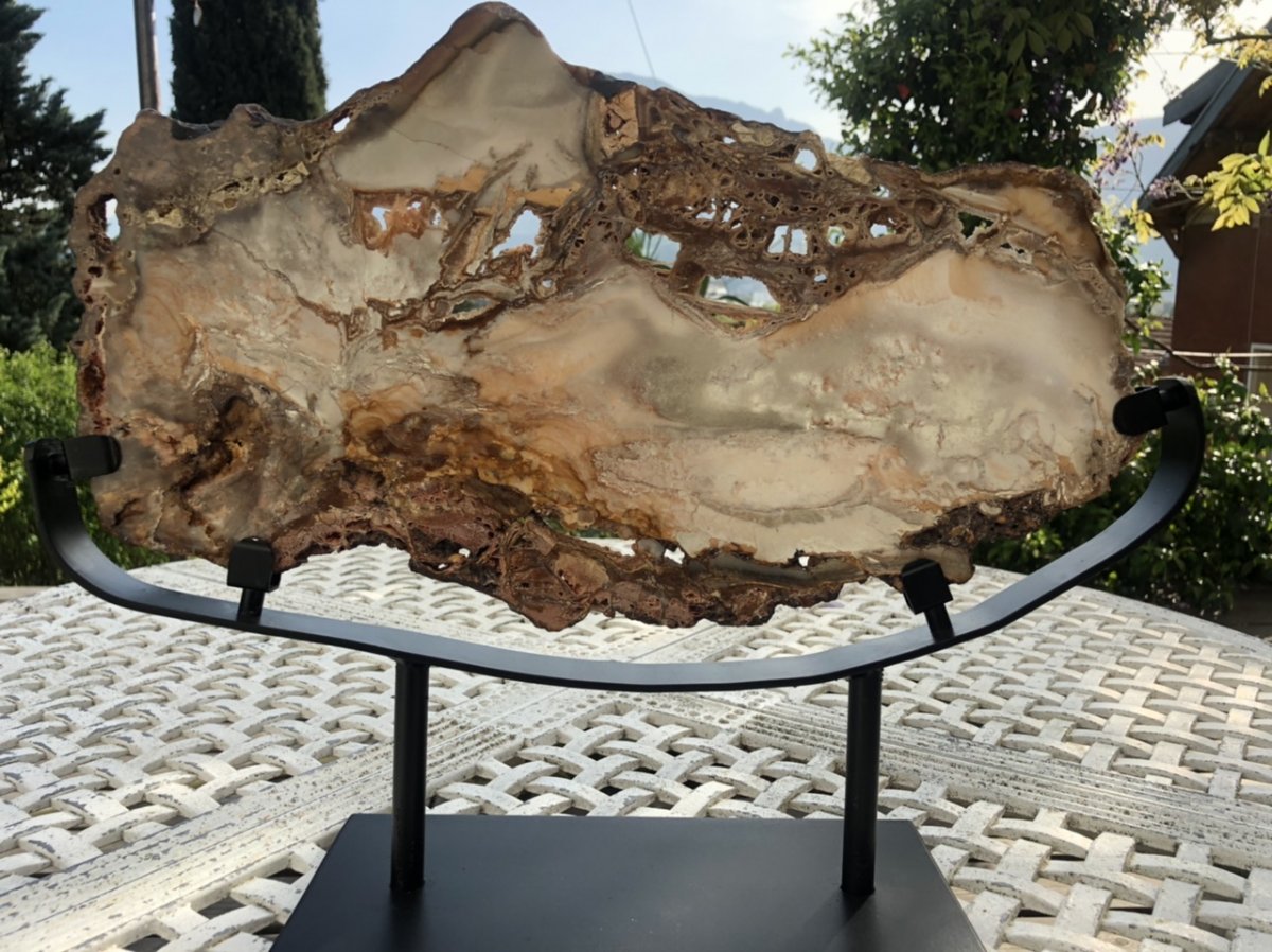 Spectaculaire tranche 38 cm en bois fossilisé pétrifié soclé-photo-4