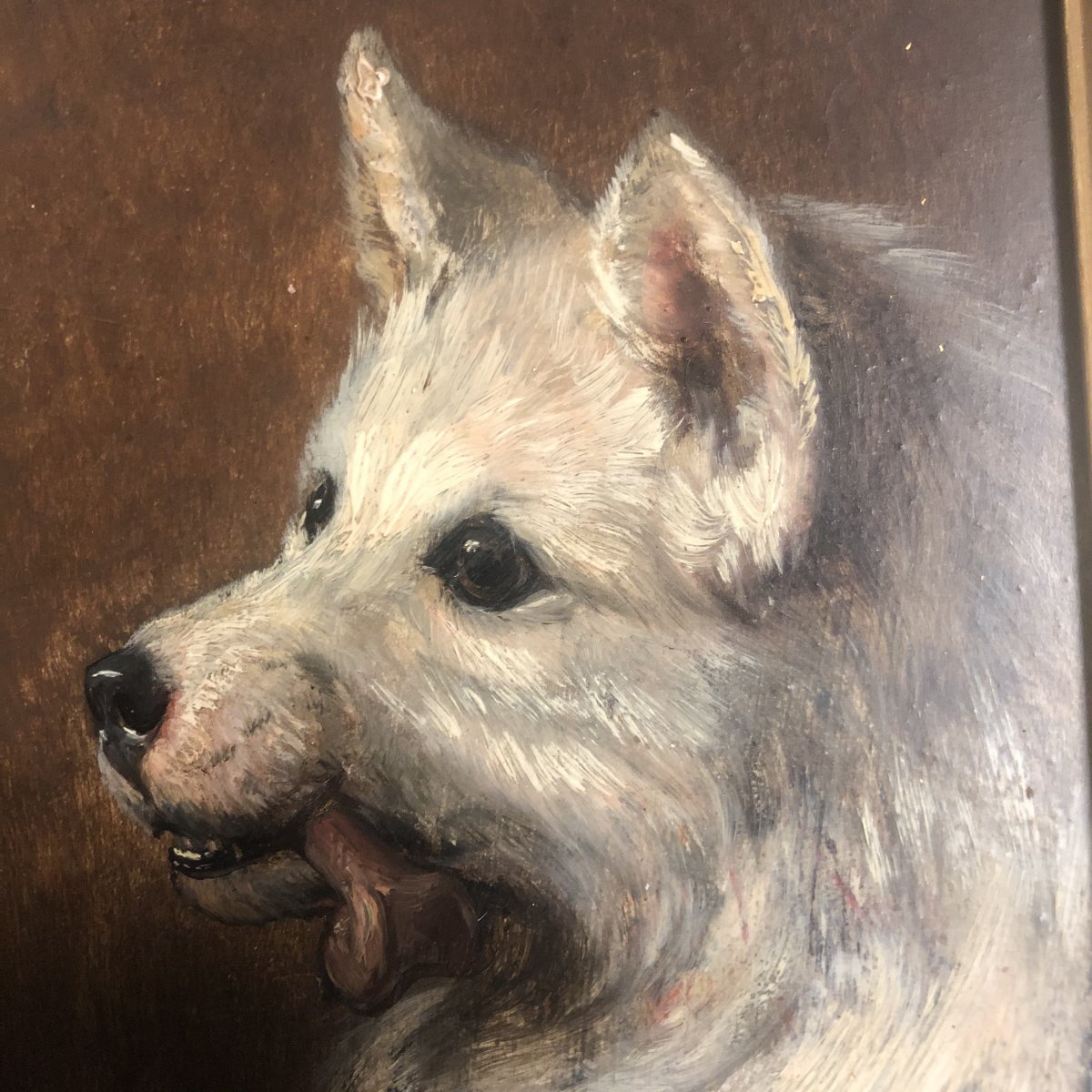 Carl Friedrich Deiker 1836-1892 1 (a) Dog (of A Pair) Loulou Or German Spitz Hunting 1/2