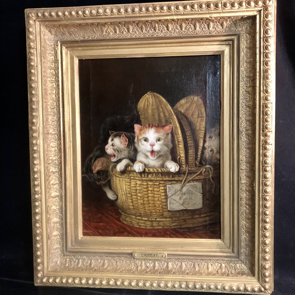 F. WATLER Huile sur toile XIXe 3 CHATS DANS UN PANIER Chat chaton expédié à Modene Rome Italie -photo-2