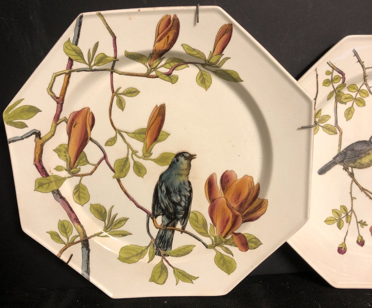 Minton Essex Birds XIXth Rare Flat Plate Brand Of 1880 In Very Good Condition / 1