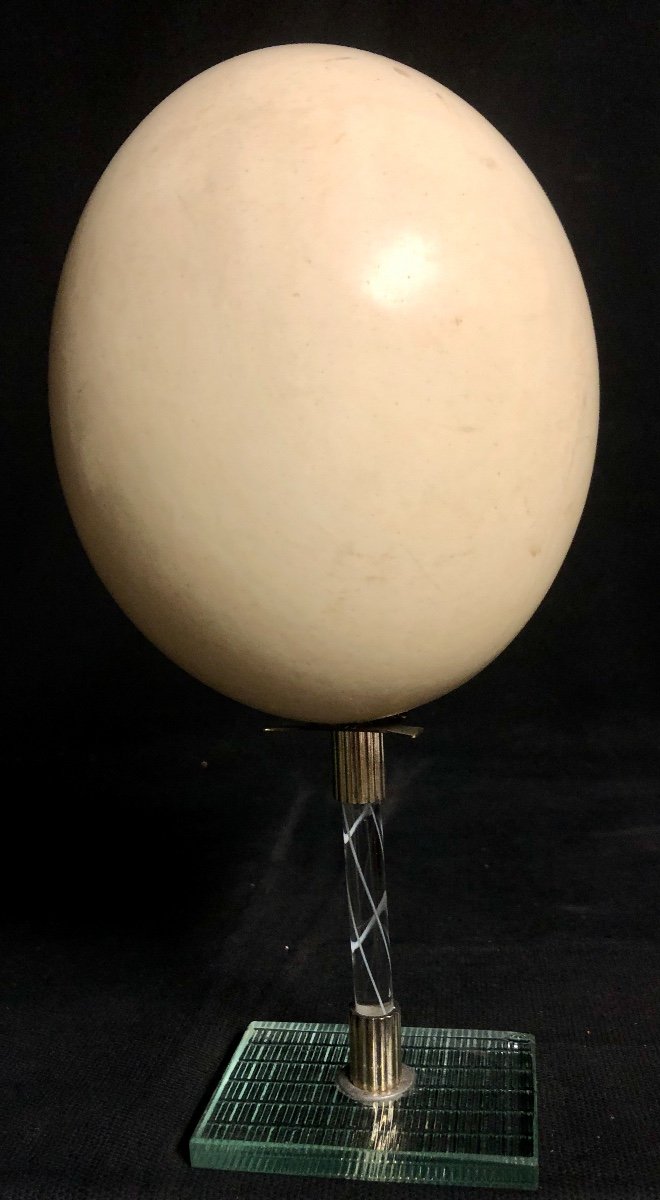 Old Ostrich Egg Base 1970-photo-3