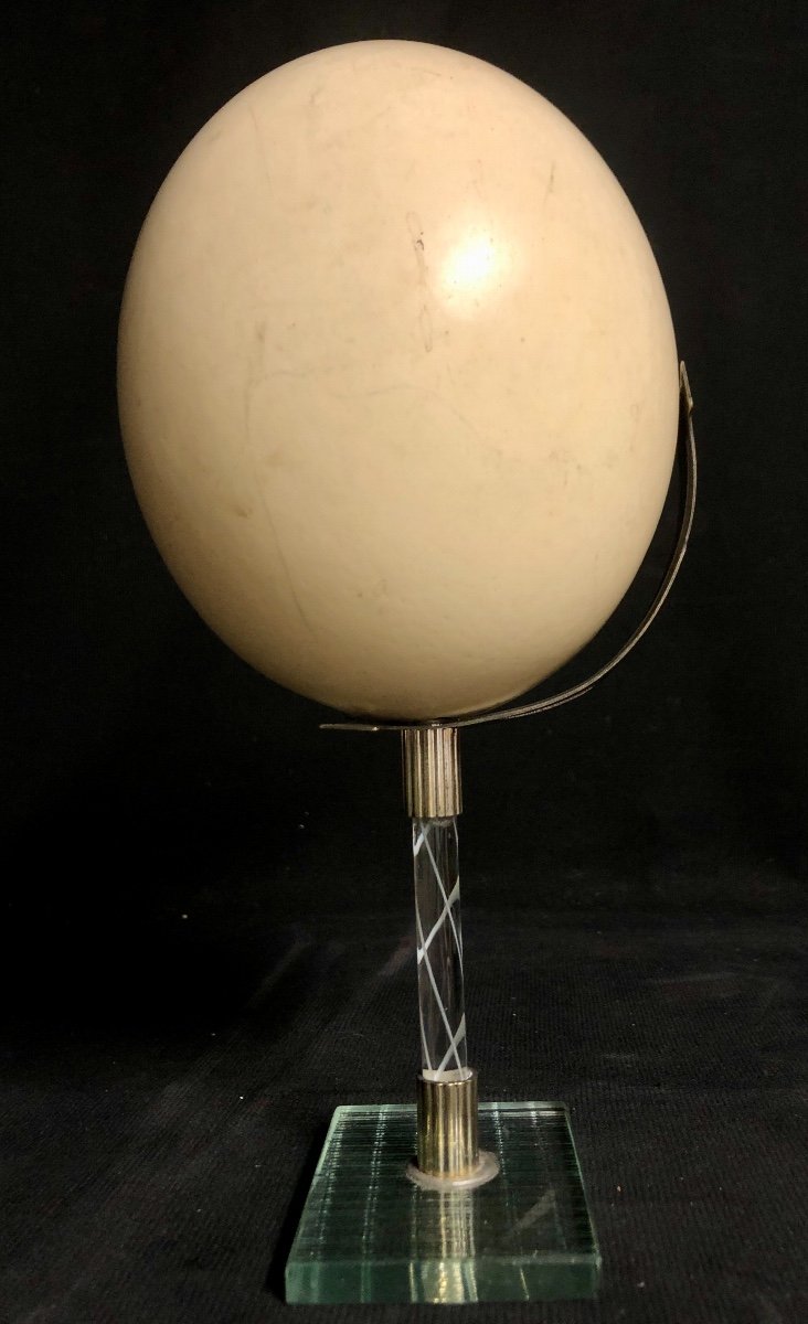 Old Ostrich Egg Base 1970-photo-1