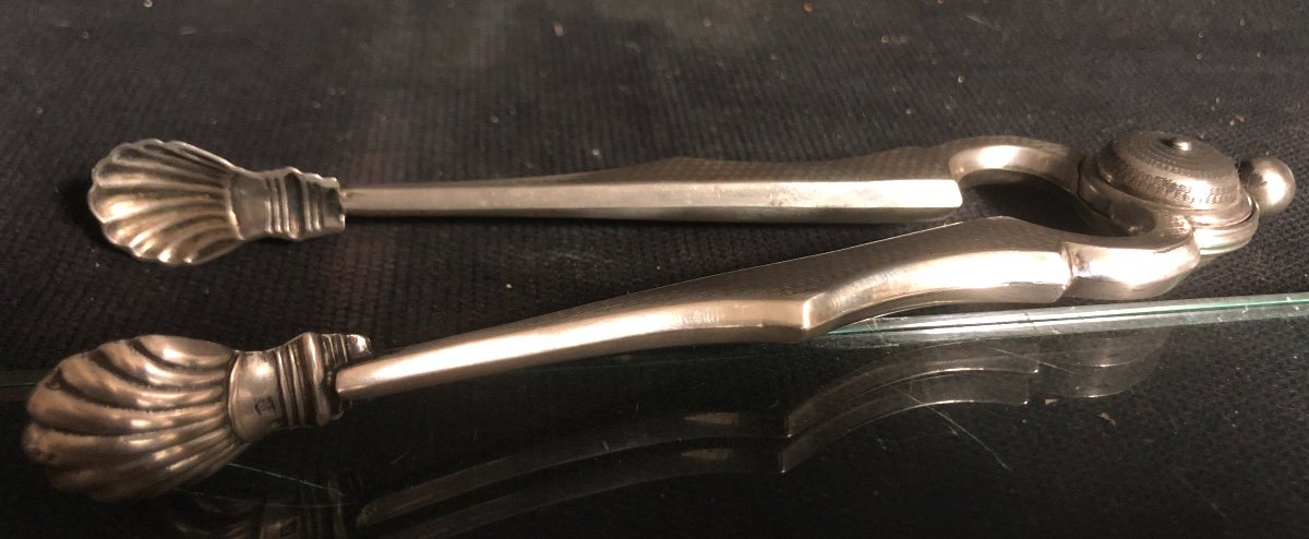 Silver Sugar Tongs With Retractor Spring System Coquille Orfèvre Fr