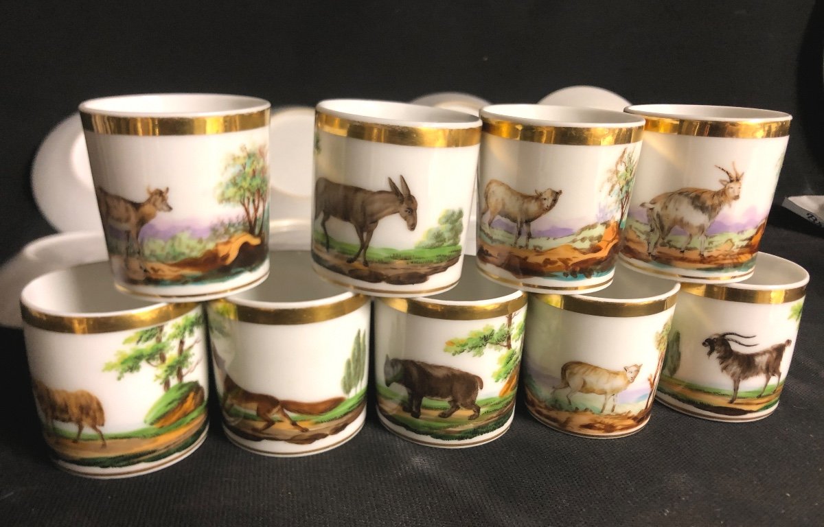 Suite de 8 Tasses ANIMAUX et sous tasses XIXe Porcelaine de Paris-photo-2