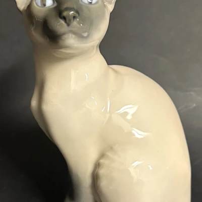 Premiere-Image-1736725