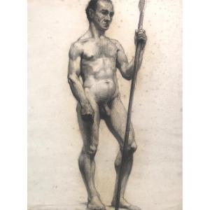 Large Nude Academy Of Man Nineteenth / Twentieth