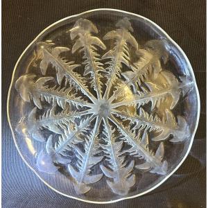 Rene Lalique 1860-1945 Dandelion Flat Cup From 1921 31cm Signed
