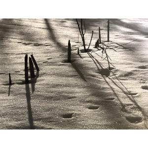 Georges Boyer Lyon 20th Photograph Trace In The Snow Photo /34