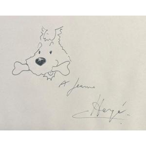 Hergé 1907-1983 Dessin original MILOU signé et dédicacé à Jeanne Chien Bande Dessinée BD