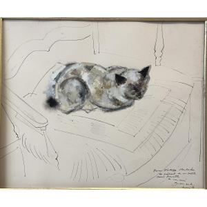 Émile GRAU SALA 1911-1975 Grande gouache et encre CHAT sur un fauteuil 1958 
