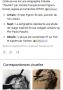 1799307-alb-6a639b18b85d0.jpg