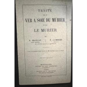 Traité sur le vers à soie du mûrier livre 1905 Maillot et Lambert E.O. 622 p Bombyx