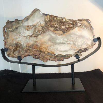 Spectaculaire tranche 38 cm en bois fossilisé pétrifié soclé