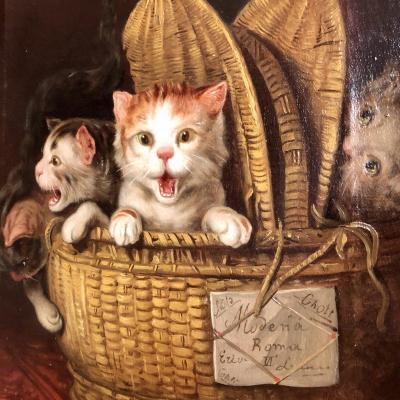 F. Watler Oil On Canvas 19th Century 3 Cats In A Basket Cat Kitten Shipped To Modena Rome Italy