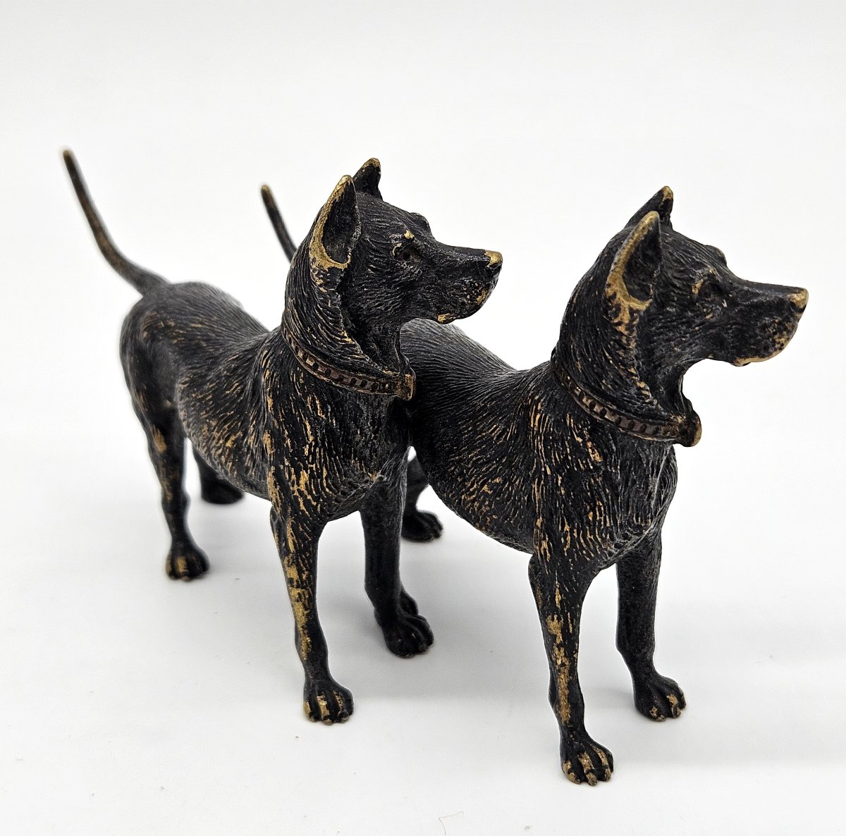 Couple de dogues allemands en Bronze début 20ème -photo-4