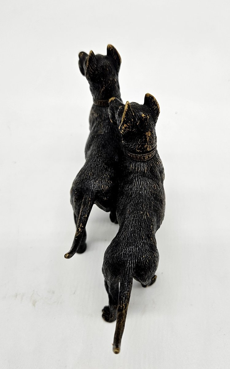 Couple de dogues allemands en Bronze début 20ème -photo-1