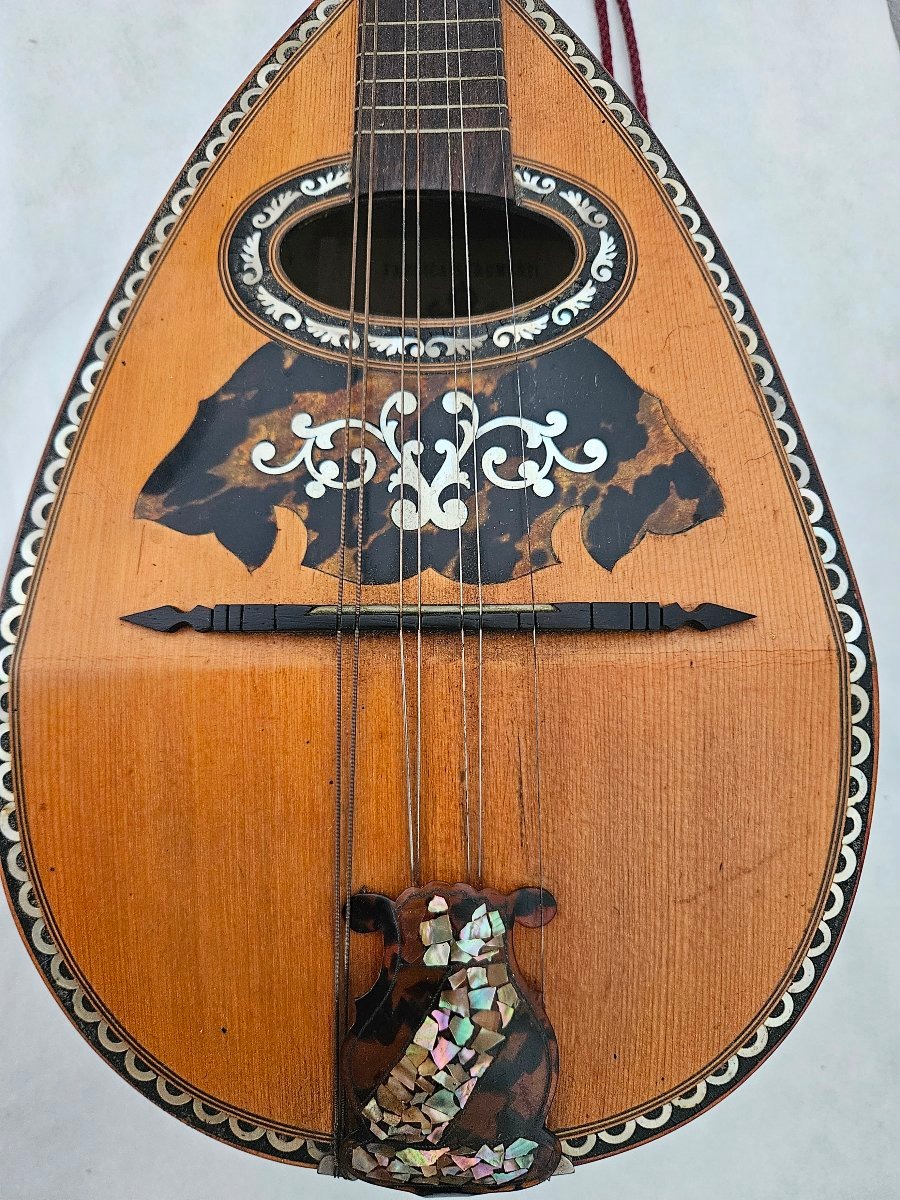 Carlo Foveri Liglio Mandolin With Hollow Sides, Late 19th Century -photo-3